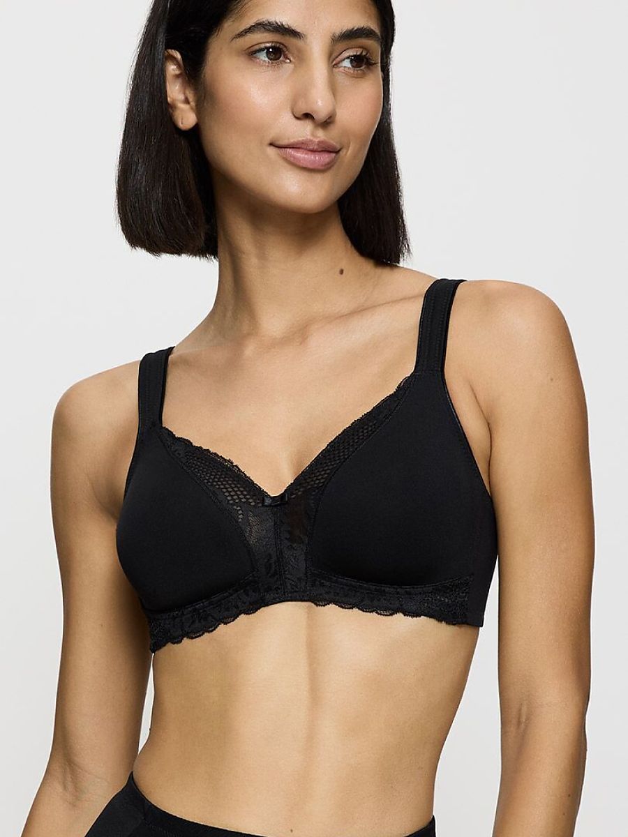 Soft model 229998 Triumph
