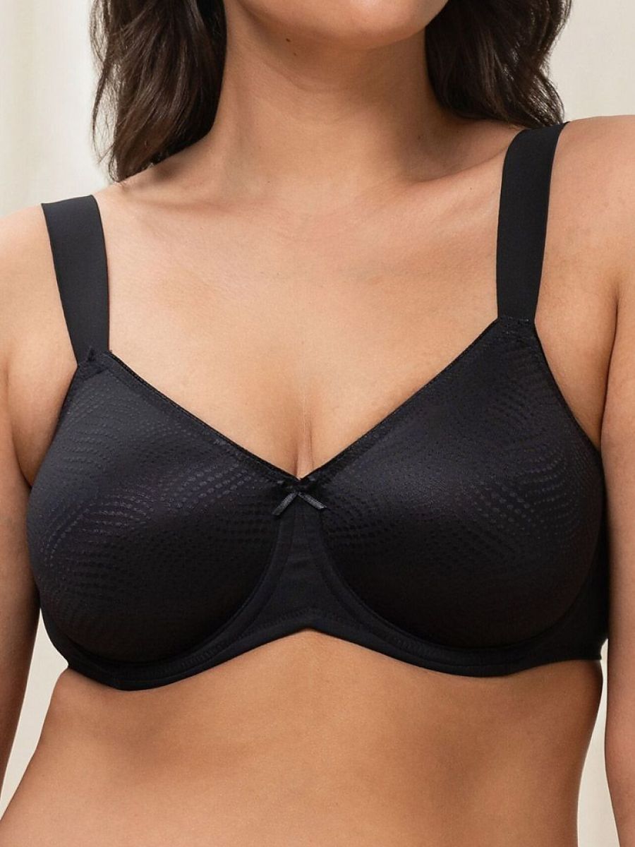 Soft model 230706 Triumph