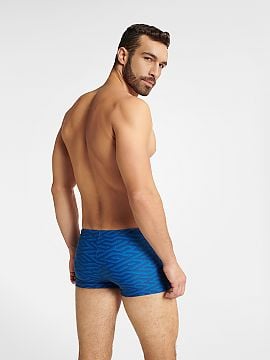 Boxers model 146261 Alpha Male Boxers Shorts, Slips, Swimming Briefs for  Men Wholesale Clothing Matterhorn